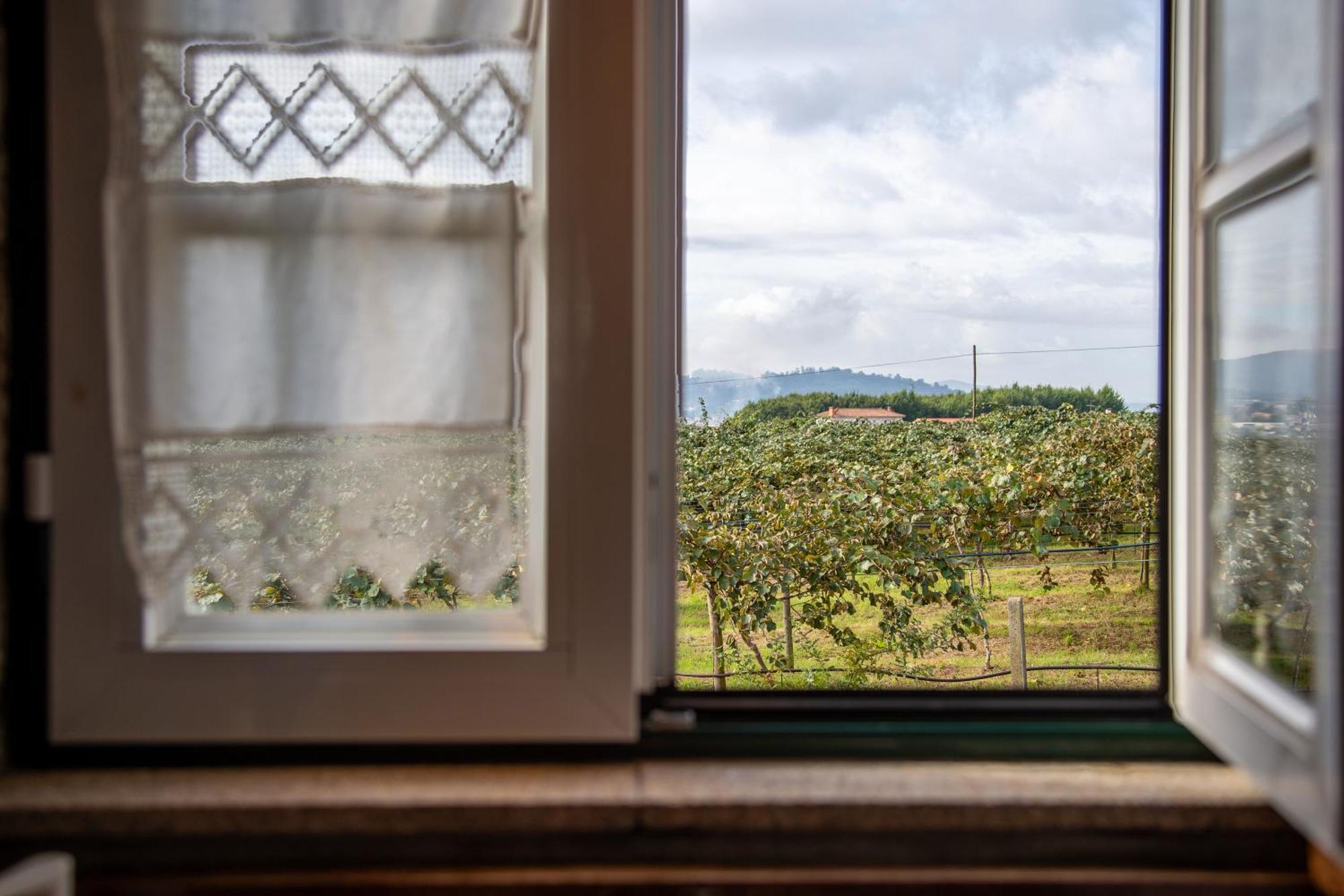Quinta Do Carvalhal Alojamento, Penafiel Irivo Ngoại thất bức ảnh